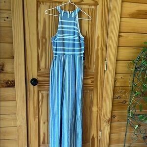 Express Blue and White Striped Jumpsuit